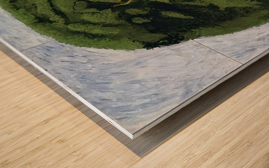 David Hockney 23 Wood print