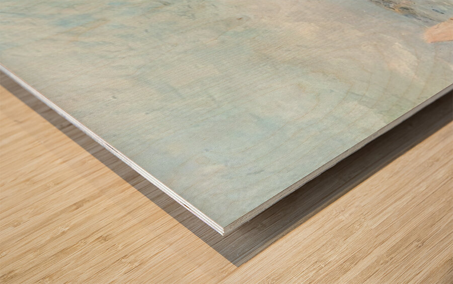 CLAUDE MONET 5 Wood print