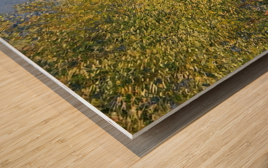 CLAUDE MONET 20 Wood print