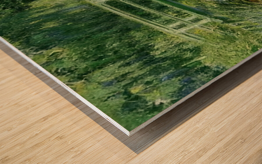 CLAUDE MONET 23 Wood print