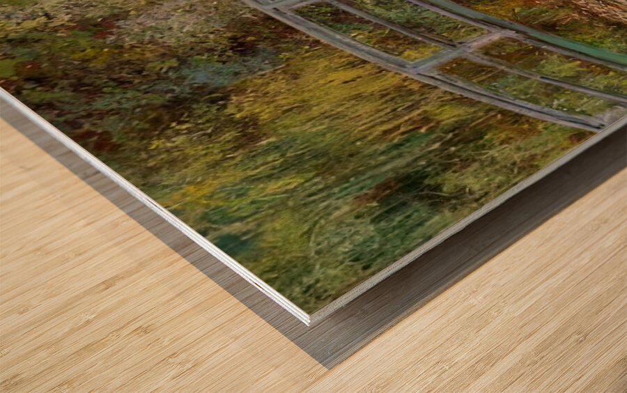 CLAUDE MONET 27 Wood print