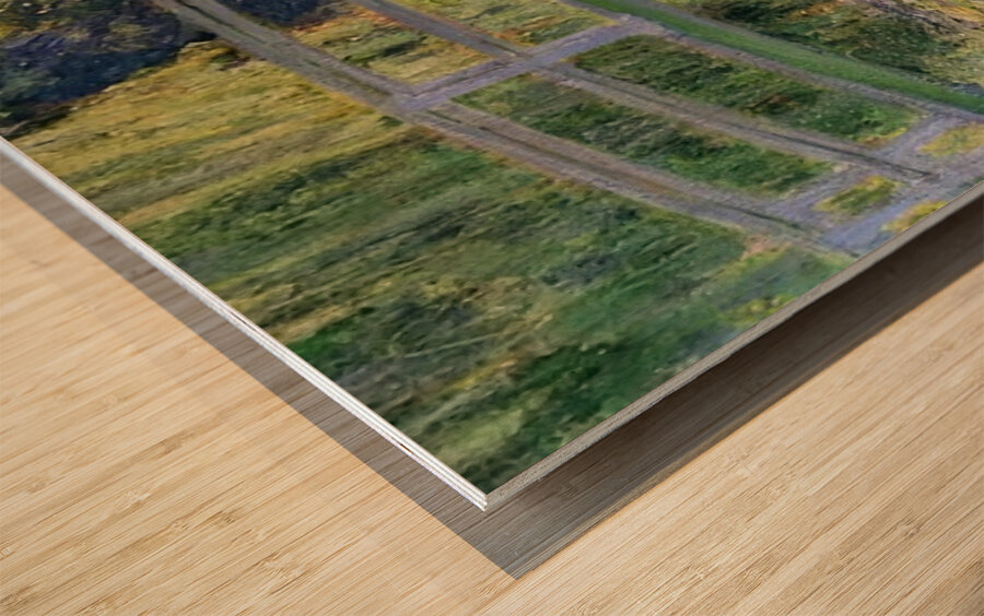 CLAUDE MONET 42 Wood print