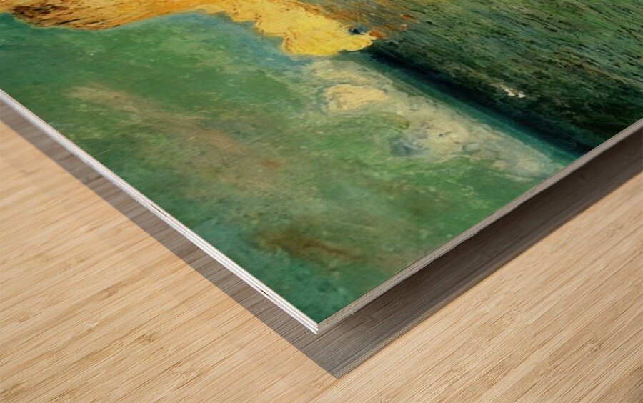 CLAUDE MONET ARTWORK 4 Wood print