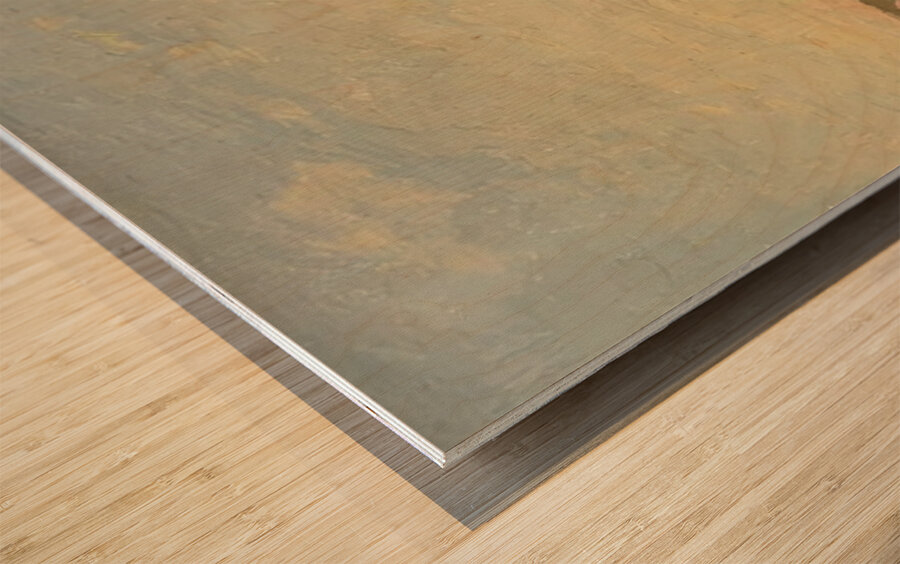 CLAUDE MONET ARTWORK 8 Wood print