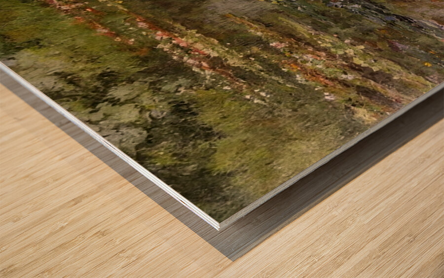 CLAUDE MONET ARTWORK 22 Wood print