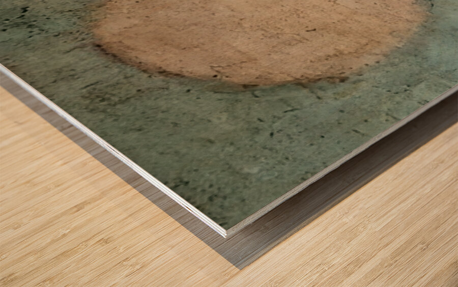 Nicolas de Staël 11 Wood print