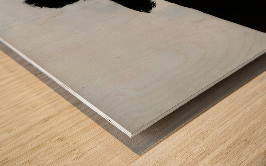 Nicolas de Staël 30 Wood print