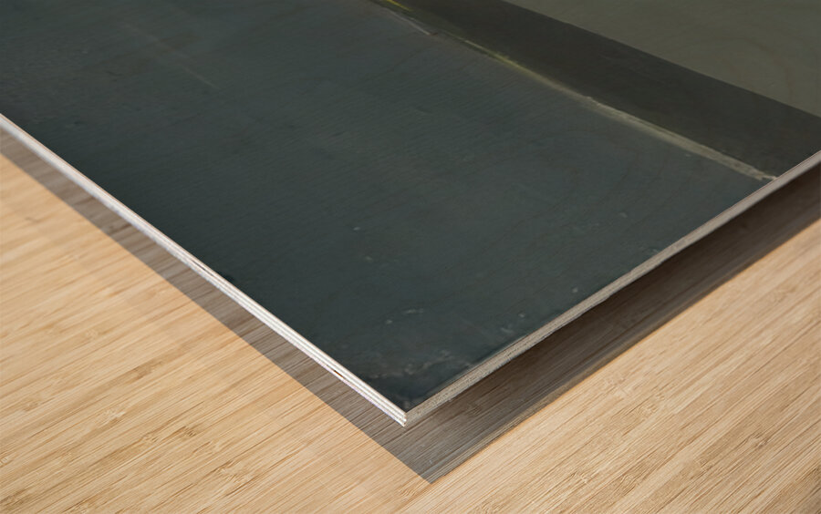 Nicolas de Staël 40 Wood print