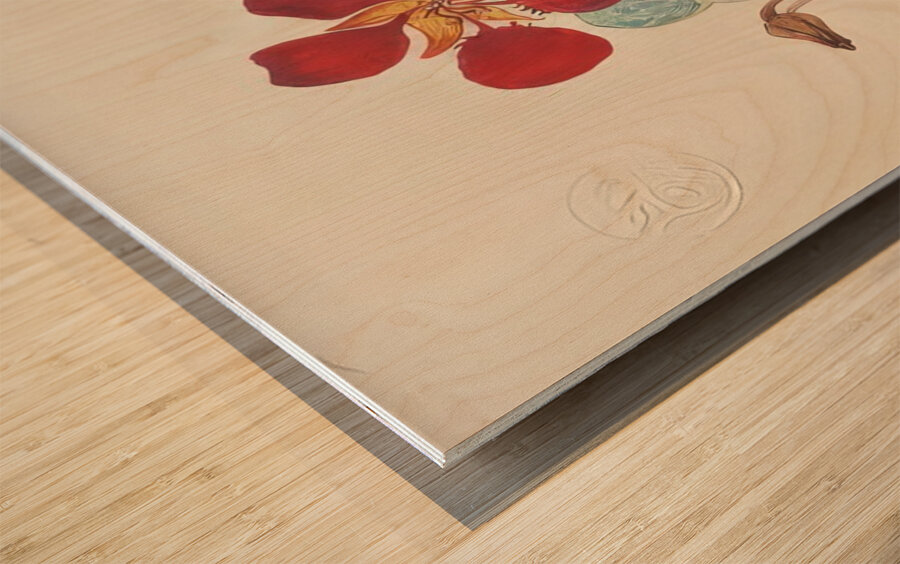 Hilma af Klint 14 Wood print