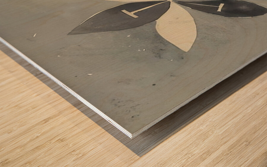 Hilma af Klint 26 Wood print