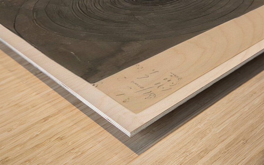 New Upload   Hilma af Klint 1 Wood print