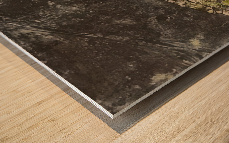 JEAN DUBUFFET 34 Wood print