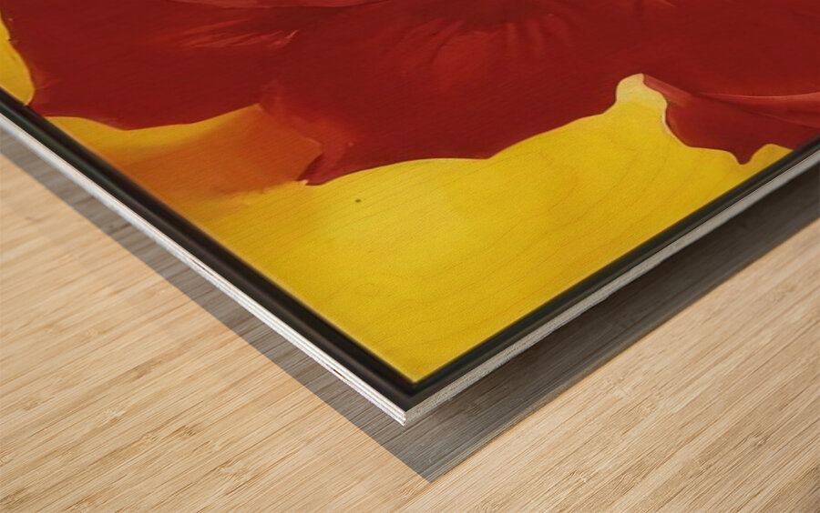 Georgia OKeeffe 6 Wood print