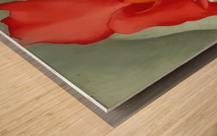 Georgia OKeeffe 7 Wood print