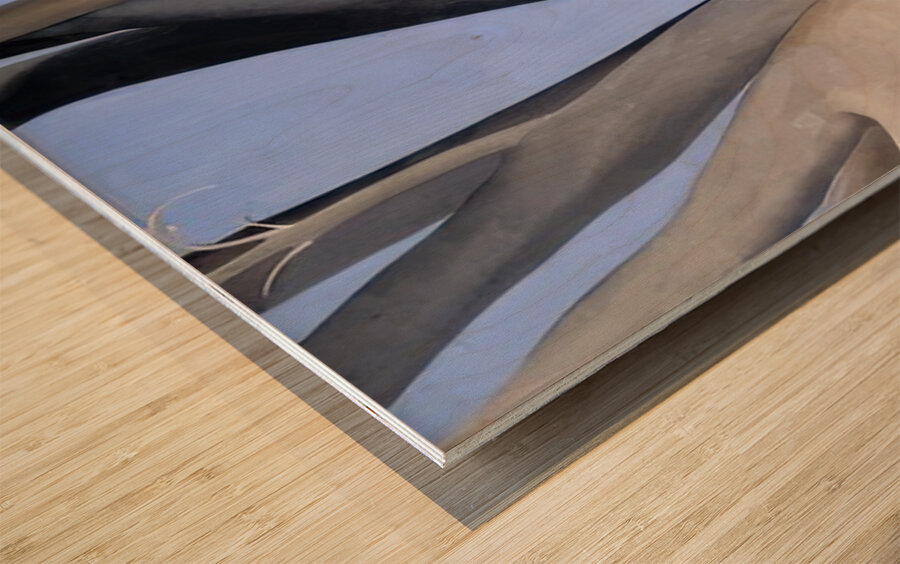 Georgia OKeeffe 57 Wood print