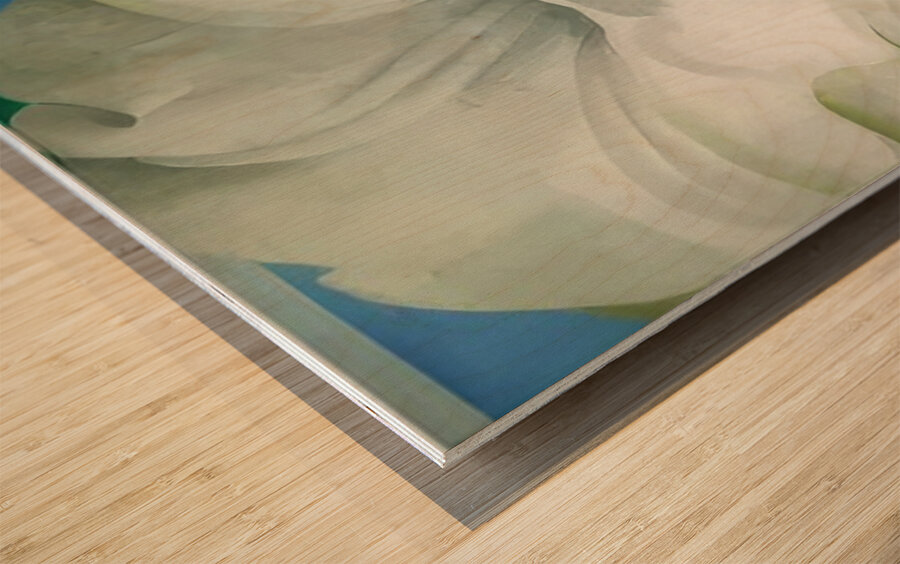 Georgia OKeeffe 63 Wood print