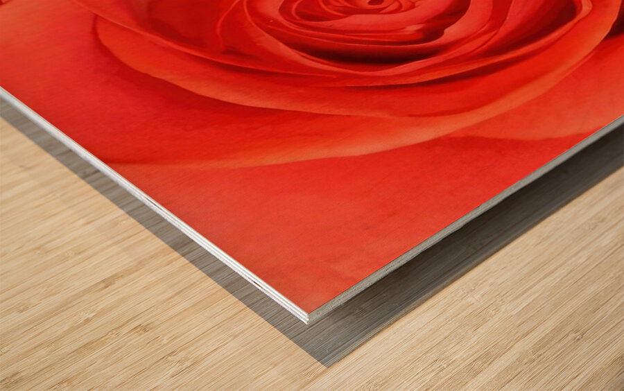 Georgia OKeeffe 10 Wood print