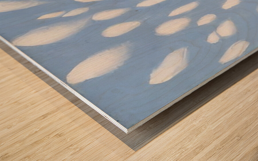 Georgia OKeeffe 13 Wood print