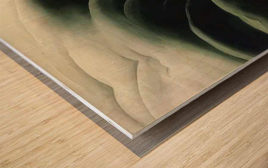 Georgia OKeeffe 16 Wood print