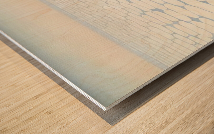 Georgia OKeeffe 19 Wood print