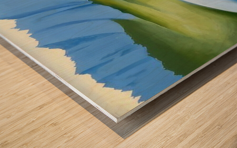 Georgia OKeeffe 29 Wood print