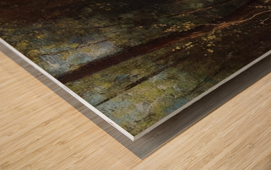 In the Woods 1859 Camille Pissarro Impression sur bois