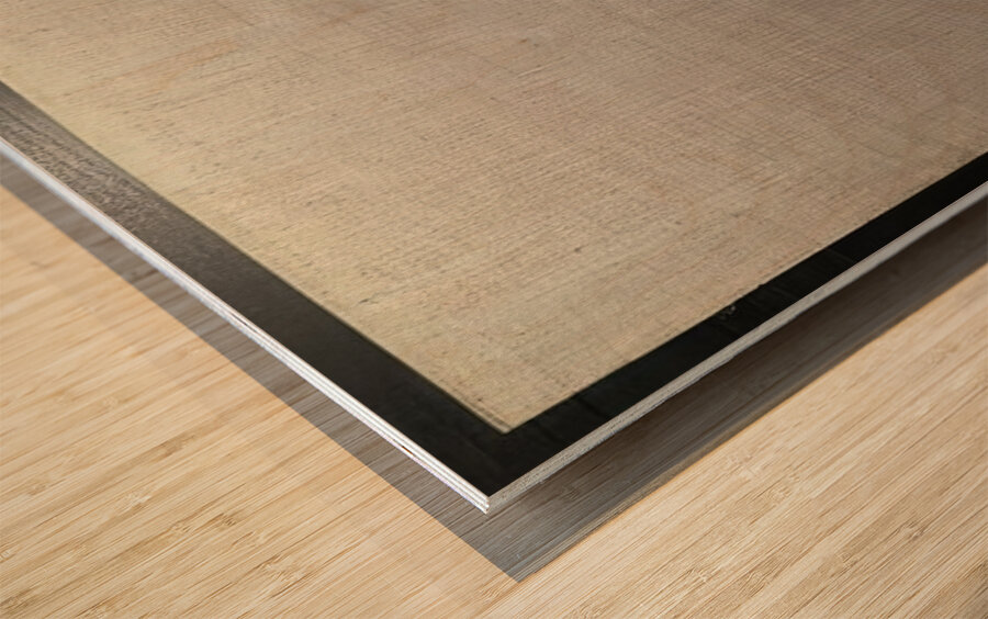 Agnes Martin    15 Wood print