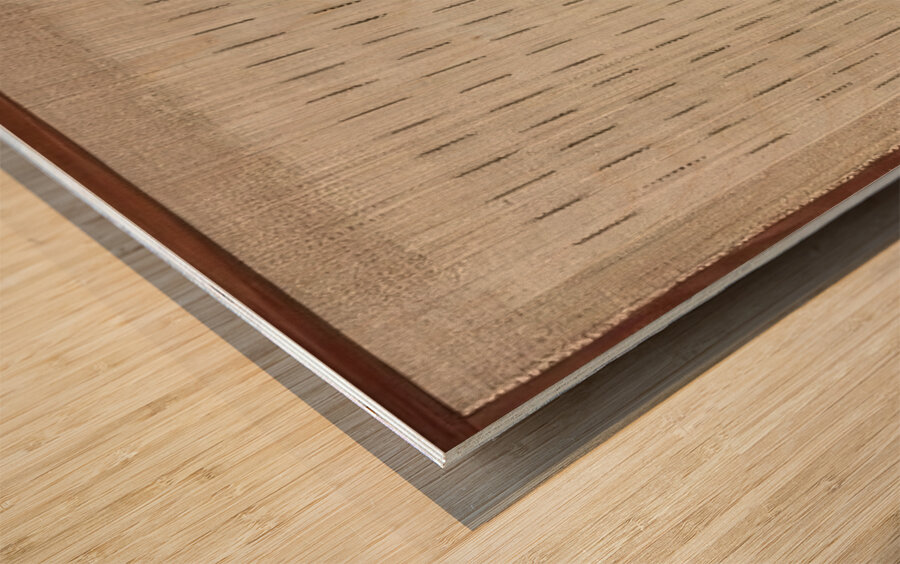 Agnes Martin    19 Wood print