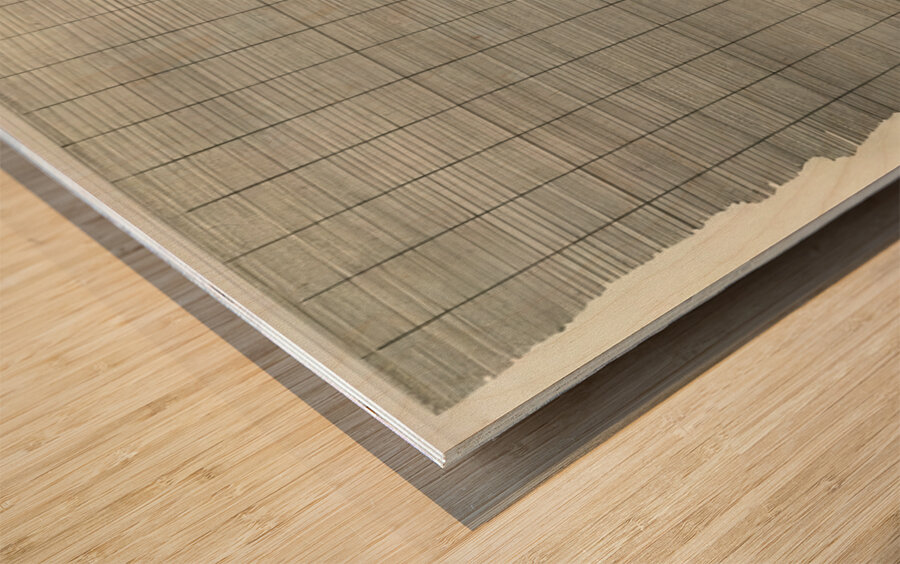 Agnes Martin    24 Wood print