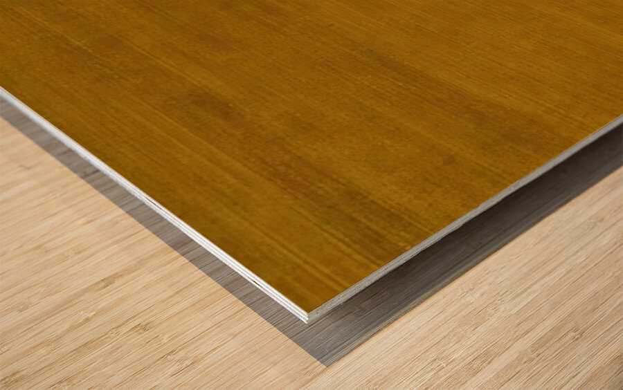 Agnes Martin    25 Wood print