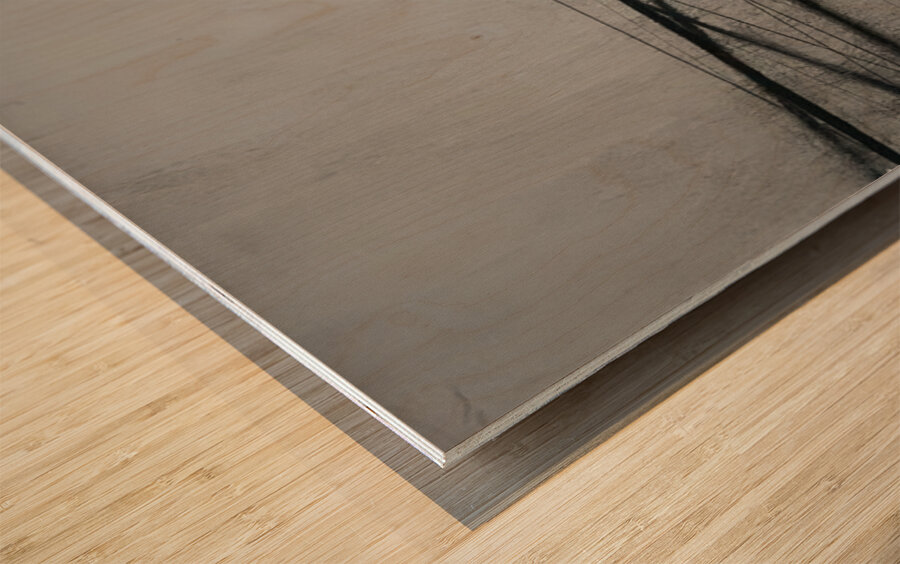 Agnes Martin    45 Wood print