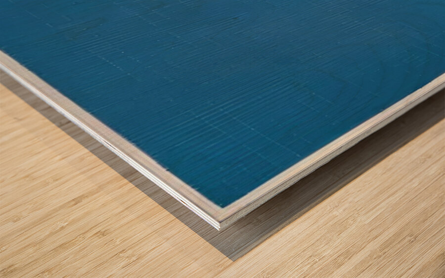 Agnes Martin    48 Wood print