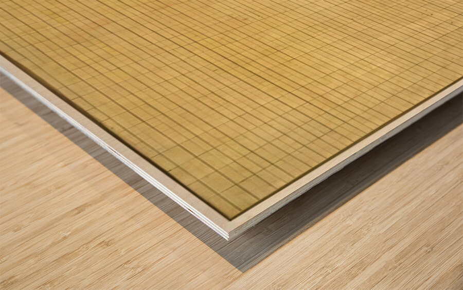 Agnes Martin    49 Wood print