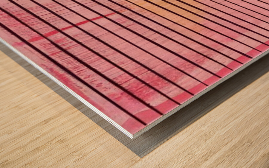 Agnes Martin    27 Wood print