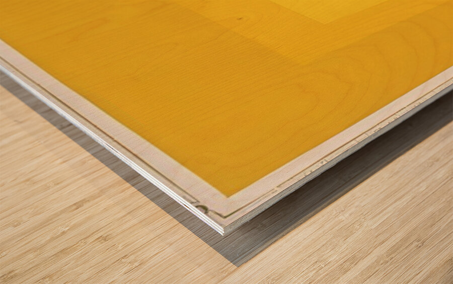 Josef Albers    3 Wood print