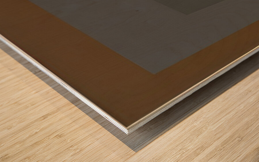 Josef Albers    17 Wood print