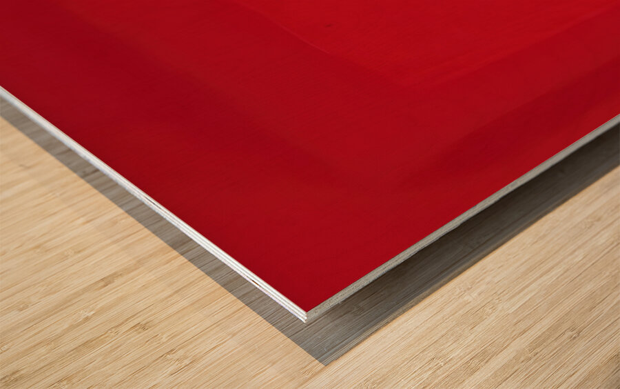 Josef Albers    49 Impression sur bois