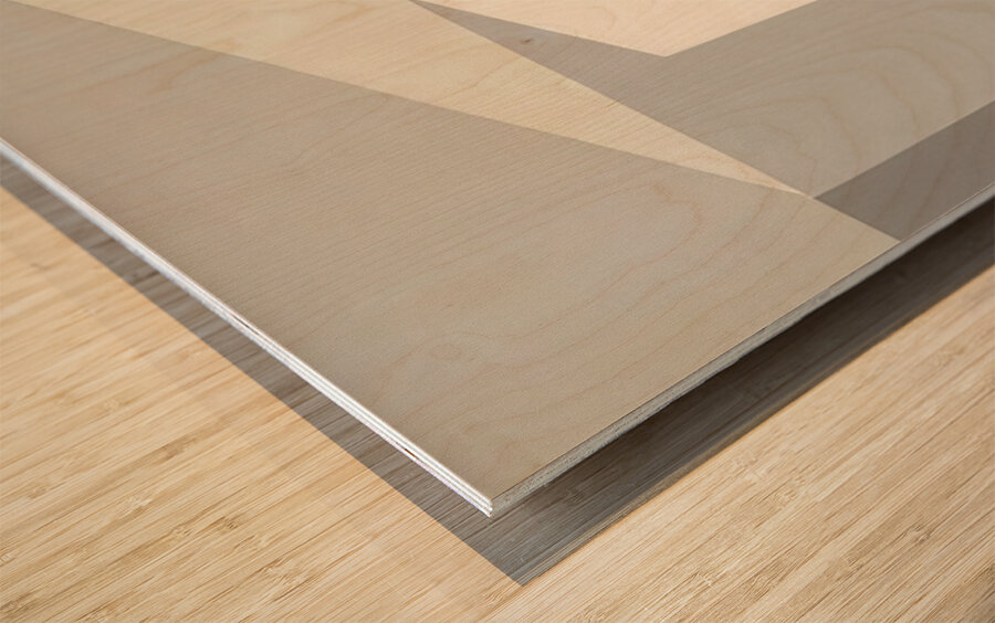 Josef Albers    6 Wood print