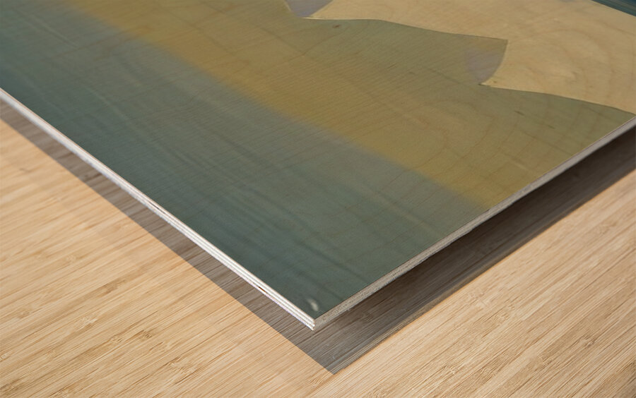 Rockwell Kent  32 Wood print