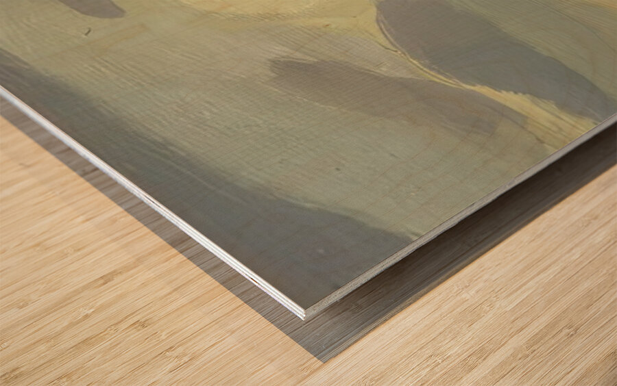 Rockwell Kent  33 Wood print