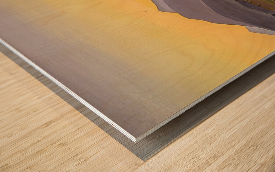 Rockwell Kent  63 Wood print