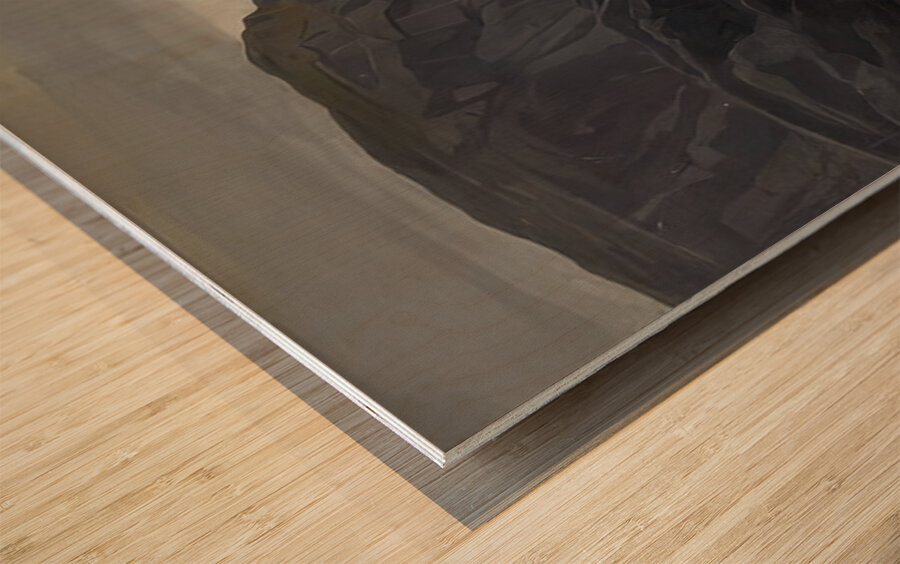 Rockwell Kent  64 Wood print