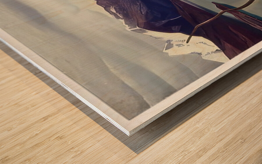 Rockwell Kent  69 Wood print