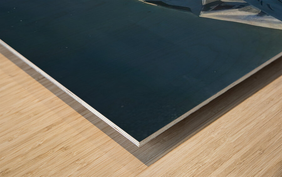 Rockwell Kent  15 Wood print