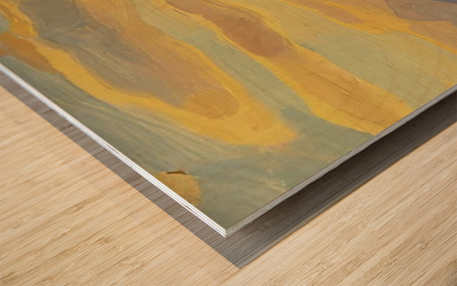 Rockwell Kent  23 Wood print