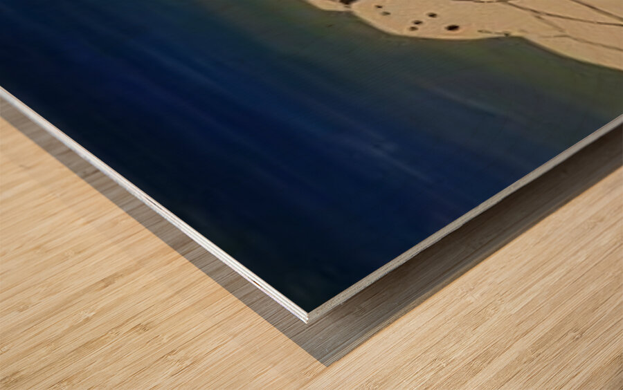 Rockwell Kent  24 Wood print