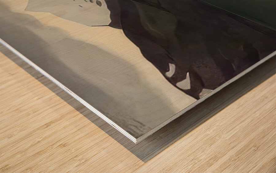 Rockwell Kent  34 Wood print