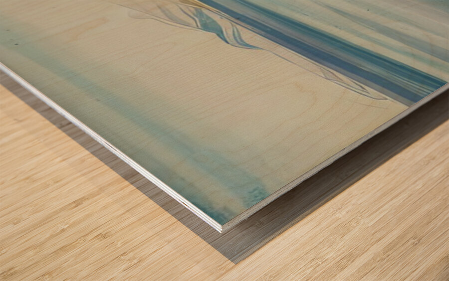 Rockwell Kent  51 Wood print