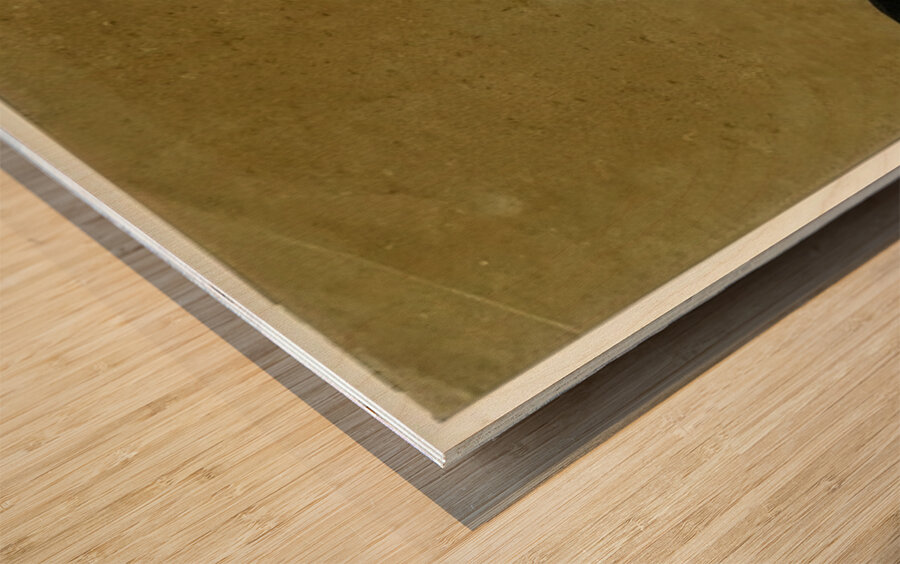 Ben Shahn 25 Wood print