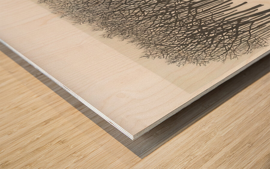 Ben Shahn 36 Wood print